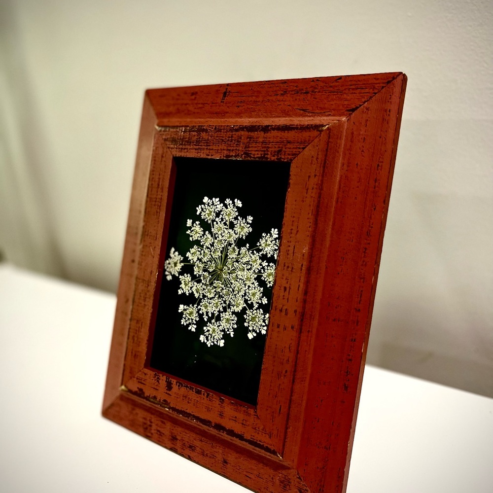 ⚘ Framed Wildflowers ⚘ - Picture 2 of 3